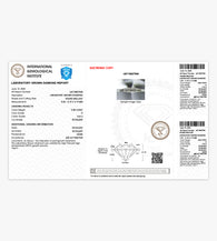 #Metal Color_White Gold&&#IGI Certificate_With（Wait 14 Days）