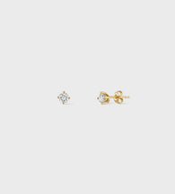 #Metal Color_Yellow Gold